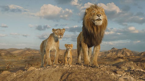 Selection of stills from recently released holiday movies, including Better Man, Anora, Mufasa: TheLion King, Paddington in Peru, A Real Pain and All We Imagine as Light