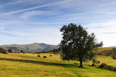 Various scenes from tourism locations in Wales 