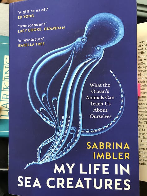 Book covers of 'My Life in Sea Creatures' by Sabrina Imbler (dark blue with a drawing of a jellyfish in white and pale blue), The Draw of the Sea by Wyl Menmuir (bold white title text overlaying blues and greens and gold), 'Adrift' by Tracey Williams (a pale background with images of pink seaweed, a black lego octopus and dodo, yellow life raft and feather, surrounding the title text in the middle of the cover), 'Lost at Sea' by Lisa Woollett (a painting of a stormy sea crashing onto rocks fills the cover with a pale central title), and 'Hagstone' by Sinead Gleeson (a bright pink sky over dark rocky horizon with a bright green title down the centre).