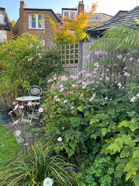 Autumn blooms — kaleidoscopic leaves, soft pink Japanese anenomes, jugs of dahlias.