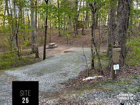 Morganton Point Campsites