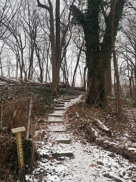 Six images: a black door looking out a door, steps covered with snow in a woods, yellow leaves over a road, a brick labyrinth, a hot pink tunnel in the dark, steps in the woods