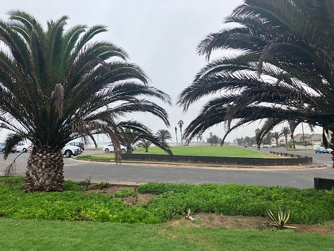 The finish line and parkrun flag on the grassy area by the lagoon