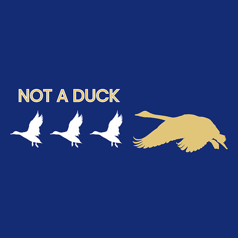 autistic affirming designs. "Not a duck" "Have you tried just suffering?" and "Autistica Academy"