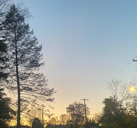 a twilight sky through bare tree branches