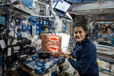 Two photos with Suni Williams, one with Butch Wilmore, both working with a weird desktop contraption that's a board with tubing and sponges attached to it, with a syringe at the top. It's all red/orange, which is the colour of the liquid used during the tests.