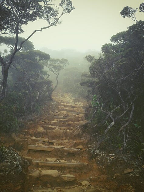 The trek up Kinabalu