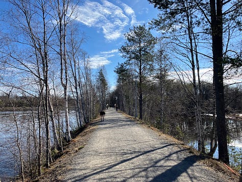 Paths on the island, bordered by trees and with water views