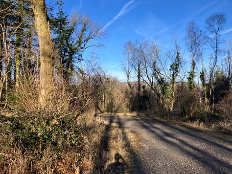 Wide path under blue skies, with sparse scrub to the side