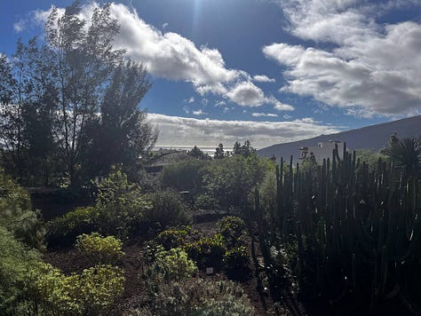 photos of natural scenes on Tenerife