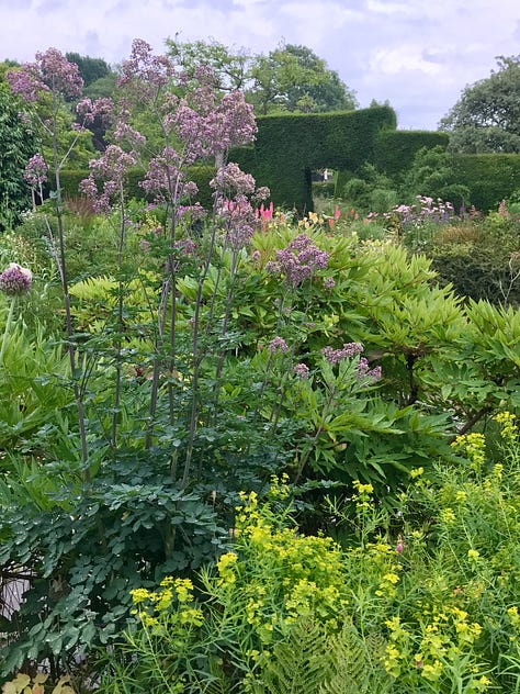 Hardy annuals, poppies and perennials in the gardens at Great Dixter. Photos by Julie Witmer