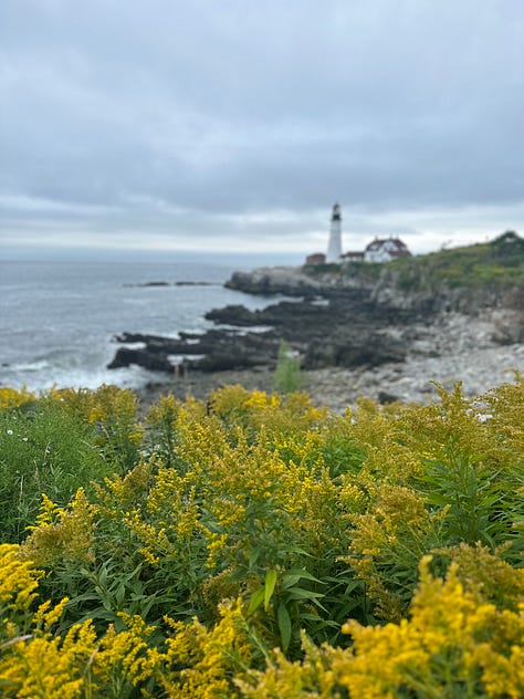 Photos of Portland, Maine