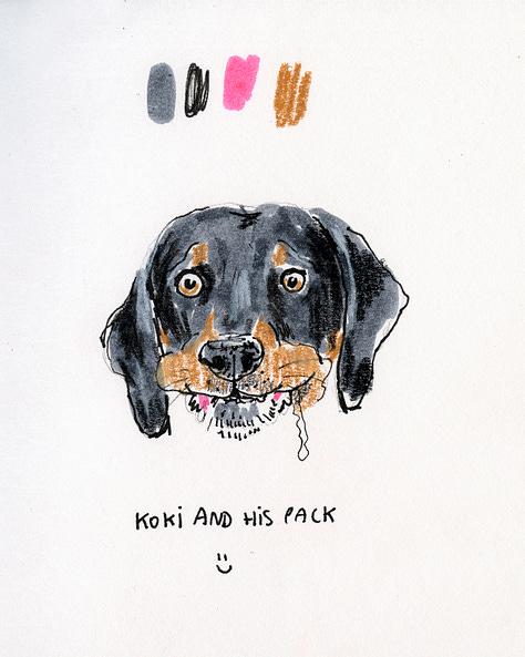 A collection of dog sketches from the daly dog drawing challenge