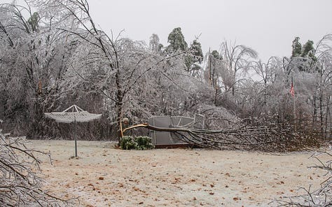 Ice damage in 2008