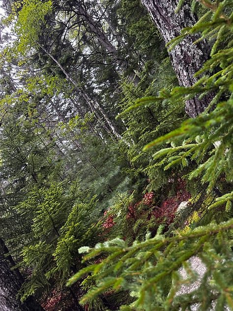 Acadia National Park