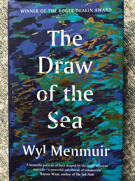 Book covers of 'My Life in Sea Creatures' by Sabrina Imbler (dark blue with a drawing of a jellyfish in white and pale blue), The Draw of the Sea by Wyl Menmuir (bold white title text overlaying blues and greens and gold), 'Adrift' by Tracey Williams (a pale background with images of pink seaweed, a black lego octopus and dodo, yellow life raft and feather, surrounding the title text in the middle of the cover), 'Lost at Sea' by Lisa Woollett (a painting of a stormy sea crashing onto rocks fills the cover with a pale central title), and 'Hagstone' by Sinead Gleeson (a bright pink sky over dark rocky horizon with a bright green title down the centre).