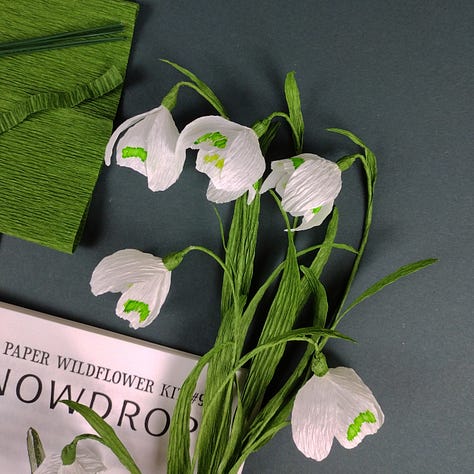 Three images of the paper snowdrop craft kits, with the flowers and instruction. booklets photographed against a dark green background.