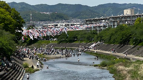 All different photos of Japanese koi fish kites