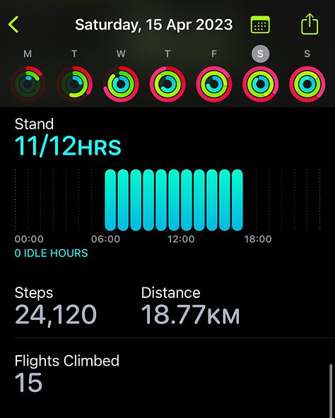 Apple Fitness Step Tracker