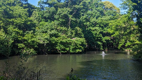 Zenpukuji River, Wadabori Park, and Myōhō-ji