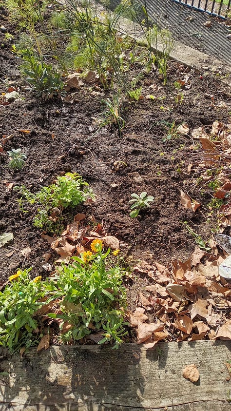 Three photos of wood chip and mulch garden projects