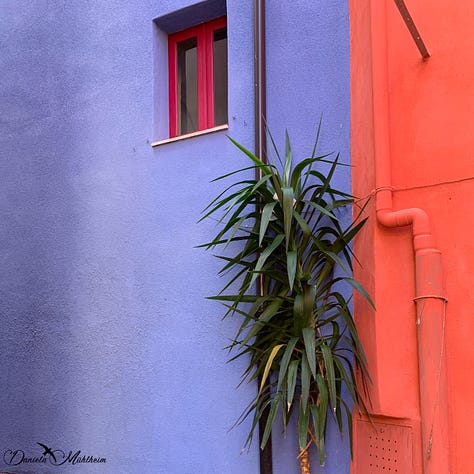 Houses in orange green lilac blue