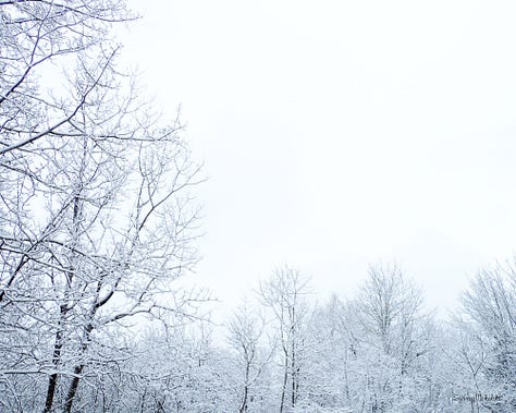 A selection of six winter images is displayed: snowy branches against white sky; icicles with droplet; stacked snowflakes; frozen bubble on snow; frosty sunrise; snowbank close-up.