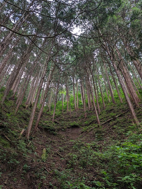 Mt. Takao 2024