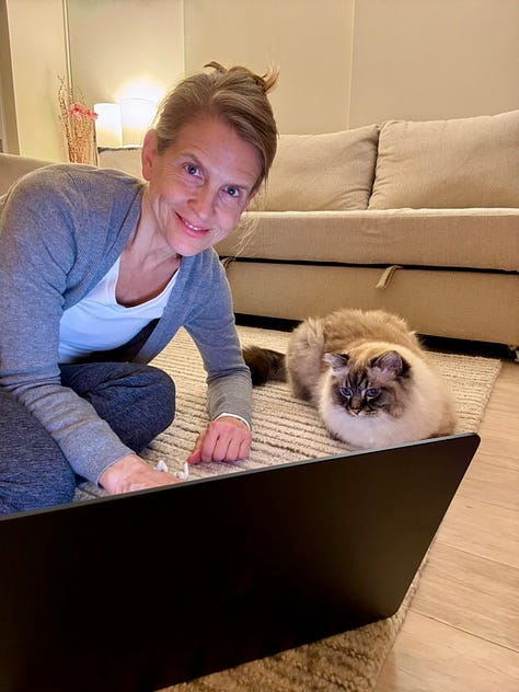 A collage of photos a woman and her two cats, one white and the other tabby