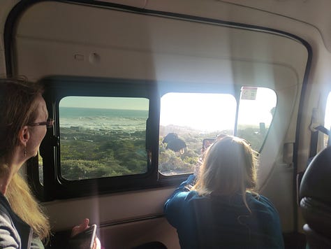 Pictures taken from inside the minibus of the baboon