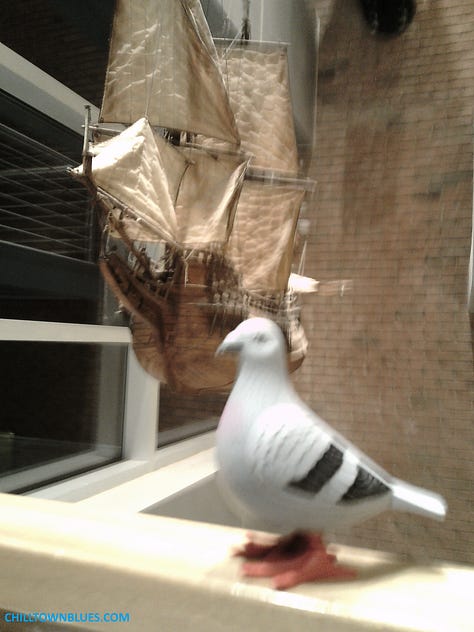 Picture 1: Slightly out of focus image of a pigeon figurine with (relative to pigeon's size) an old-fashioned merchant ship seemingly floating in the background. Picture 2: In a dimly light room, the shadow of a picture on a ledge or ledge-like bar is pictured on a wall. CHILLTOWNBLUES.COM is in turquoise blue on bottom left of image. Picture 3: A nighttime photo by Chilltown Blues of a statue (by sculptor Alvin Pettit) of civil rights activist and educator Mary McCleod Bethune on redlined south side of Jersey City. Just behind the nine-foot bronze tall statue is a small park named for her. Since the photo is taken through glass, tricks of the light make it appear as if there's little floating orbs of light all around everything. The whole thing looks bluesy, partially because sky has deep blue tint.. Picture 4: What looks like the bust of a gray pigeon looks out of a window at an urban landscape: there's the rear of a black car almost parked by the crosswalk but not quite. And across the street hung just below streetlight fixtures are, respectively, one large glowing white snowflake ornament; and about 40 feet behind it, another one across the street. CHILLTOWNBLUES.COM is written in a bright blue on the bottom right of image. Picture 5: A sepia-toned black and white image of a table with a pigeon figurine in front of a large empty birdcage. Picture 6: Picture of an old=fashioned light fixture with three curved hooks that support bulbs underneath little red lampshades. They come from a fixture that has two hooks on each side of it as well. Nestled in the center hook is a pigeon figurine. The color of the wall behind it is orange and the light from the three bulbs has a bird-like silhouette. In the bottom left corner in black is "chilltownblues.com." Picture 7: Pictured taken in a dark room of (from foreground going outward) a pigeon silhouette, mid-left, the silhouette of a bigger ship miniature on the right and then outside of large windows many lights from a big parking lot. Picture 8: Photograph of a pigeon's silhouette on the bottom left, foreground, taking about a fifth of a nighttime photo of trees with mostly yellow leaves in the background swirling toward a bright white street light. On the right side, there's a post with a series of blight lights mid-ground in the photo. Picture 9: The ChilltownBlues.com pigeon is standing in the midst of a jigsaw puzzle that's mostly done. To the left of it, from the viewer's perspective, is a kind of watermelon pie, where the eyes are half-kiwis, an orange wedge for a noise and a dark string of berries for a smile. All around the smile and the pigeon are the other puzzle pieces of which it's unclear what the rest make out, though it's mostly fruit.