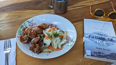 scenes of various vegetarian lunch buffets - Im Jai, Pinya and Ming Kwan Suan Dok - in Chiang Mai, Thailand / Dec. 2024 + Jan. 2025