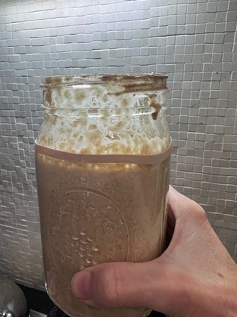 sourdough starter in a jar