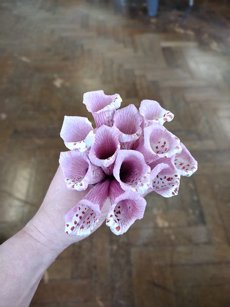 Foxglove florets held in a hand all pointing upwards so you can see inside them; two boxes full of brightly coloured paper, surrounded by the ingeredients used to dye then (onion skins, hibiscus, alder cones, weld, black bean), clematis flower heads in shades of blue, green and red, all from natural colour ingredients.