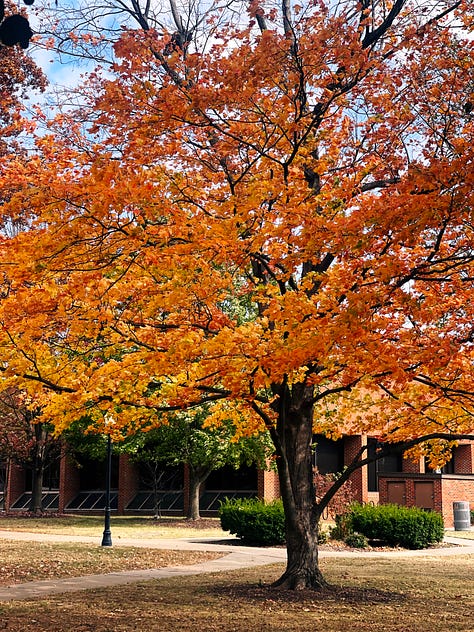 Campus view