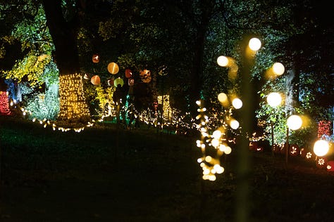 Auckland Castle Pumpkin Trail, Autumn 2024, Halloween