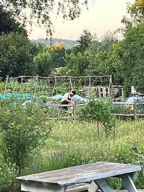 Nine images showing the outside seating area of The Small Holding with images of crops growing in the vegetable garden