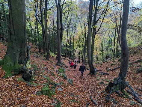 walking in wales with wales outdoors