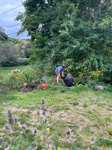 diy, back yard farming, composting, bathroom makeover, cleaning, organizing, gardening, permaculture