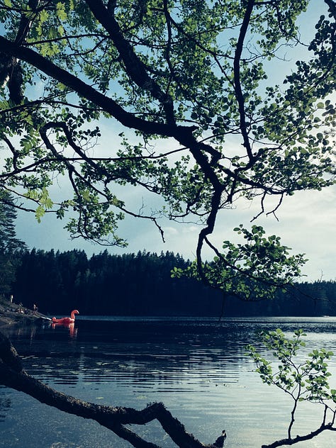 june in finland