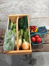 Wooden farm share basket on wooden bench (contains corn, green beans, cucumbers, onions, tomatoes, blueberries), second image of crate of corn with sign "Must Take 12 ears of corn", third image with author (white woman with clear rimmed glasses and long blond hair) sitting on a couch with a calico cat looking expectantly at her