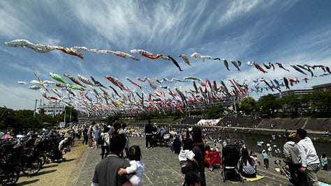 All different photos of Japanese koi fish kites