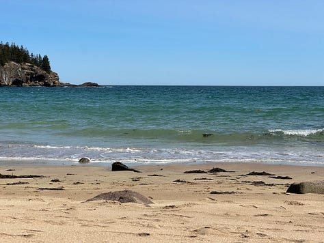 Scenic photos of the ocean and dogs