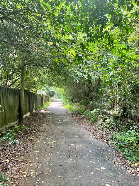 9 photos of various trees in Alabama