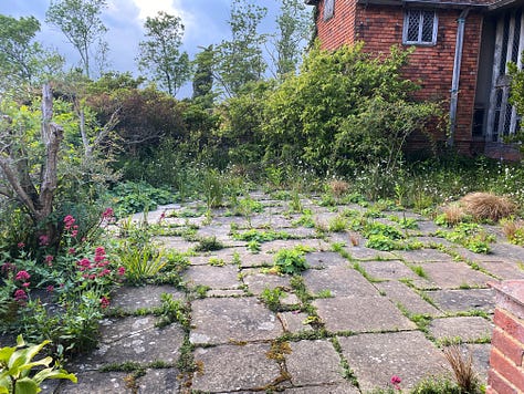 Playing at Dixter: Fergus demonstrating planting layouts; Christo's patio; and Marianne fireside. Photos via Marianne Willburn