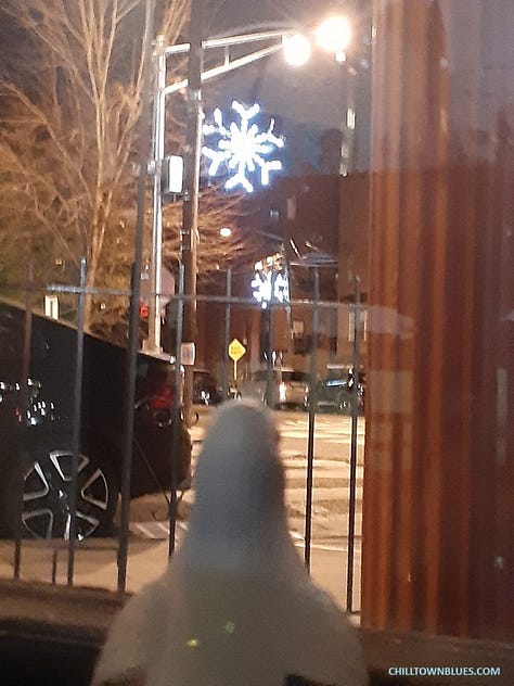 Picture 1: Slightly out of focus image of a pigeon figurine with (relative to pigeon's size) an old-fashioned merchant ship seemingly floating in the background. Picture 2: In a dimly light room, the shadow of a picture on a ledge or ledge-like bar is pictured on a wall. CHILLTOWNBLUES.COM is in turquoise blue on bottom left of image. Picture 3: A nighttime photo by Chilltown Blues of a statue (by sculptor Alvin Pettit) of civil rights activist and educator Mary McCleod Bethune on redlined south side of Jersey City. Just behind the nine-foot bronze tall statue is a small park named for her. Since the photo is taken through glass, tricks of the light make it appear as if there's little floating orbs of light all around everything. The whole thing looks bluesy, partially because sky has deep blue tint.. Picture 4: What looks like the bust of a gray pigeon looks out of a window at an urban landscape: there's the rear of a black car almost parked by the crosswalk but not quite. And across the street hung just below streetlight fixtures are, respectively, one large glowing white snowflake ornament; and about 40 feet behind it, another one across the street. CHILLTOWNBLUES.COM is written in a bright blue on the bottom right of image. Picture 5: A sepia-toned black and white image of a table with a pigeon figurine in front of a large empty birdcage. Picture 6: Picture of an old=fashioned light fixture with three curved hooks that support bulbs underneath little red lampshades. They come from a fixture that has two hooks on each side of it as well. Nestled in the center hook is a pigeon figurine. The color of the wall behind it is orange and the light from the three bulbs has a bird-like silhouette. In the bottom left corner in black is "chilltownblues.com." Picture 7: Pictured taken in a dark room of (from foreground going outward) a pigeon silhouette, mid-left, the silhouette of a bigger ship miniature on the right and then outside of large windows many lights from a big parking lot. Picture 8: Photograph of a pigeon's silhouette on the bottom left, foreground, taking about a fifth of a nighttime photo of trees with mostly yellow leaves in the background swirling toward a bright white street light. On the right side, there's a post with a series of blight lights mid-ground in the photo. Picture 9: The ChilltownBlues.com pigeon is standing in the midst of a jigsaw puzzle that's mostly done. To the left of it, from the viewer's perspective, is a kind of watermelon pie, where the eyes are half-kiwis, an orange wedge for a noise and a dark string of berries for a smile. All around the smile and the pigeon are the other puzzle pieces of which it's unclear what the rest make out, though it's mostly fruit.