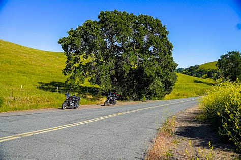 Melinda Epler and Wayne Sutton at Mount Diabloe State Park in motorcycle gear