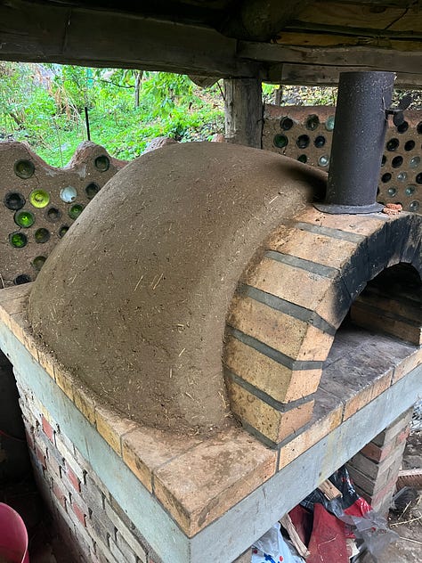 1. Cob oven repairs have been completed; 2. More logs were inoculated with shiitake spores during an external practitioner's workshop held in our space; 3. Horseradish taking up space.