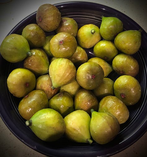 Os figos do quintal e a colheita de um dia
