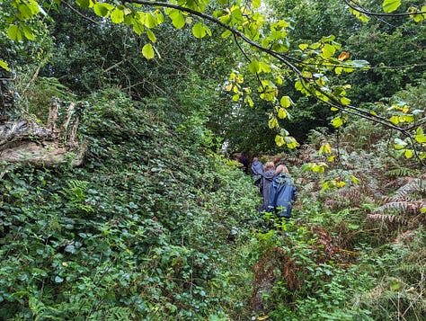 guided walk waterfalls brecon beacons